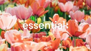 Playlist 봄이 왔나 봄 🌷  봄에 듣기 좋은 산뜻한 팝송  4 hours spring mood pop [upl. by Opalina]