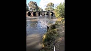 EP1 Fishing the Condamine River in Warwick [upl. by Notgnihsaw]