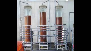 Ion exchange system resin regeneration system circulating water descaling [upl. by Odrahcir599]