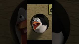 The penguin gets shipped to Africa movie viralvideo [upl. by Nnarual]