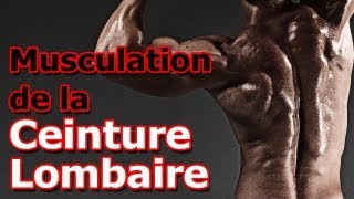 Exercice de Musculation de la Ceinture Lombaire [upl. by Gaultiero628]