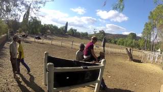 Oudtshoorn Ostrich Riding 2012 POV [upl. by Nedloh]