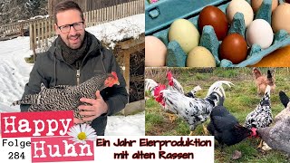 Ein Jahr Eierproduktion mit alten Hühnerrassen  Ein Fazit  HAPPY HUHN Folge 283  Hühner für Eier [upl. by Celestyna]