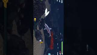 Shark 🦈 Rasta bhul gyi😱😱🫢gaming gameplay game sharkoo [upl. by Paradies]