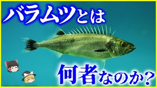 【ゆっくり解説】食品衛生法で売買禁止⁉「バラムツ」とは何者なのか？を解説食べると危険⁉︎謎の深海魚はとっても美味… [upl. by Cohen]