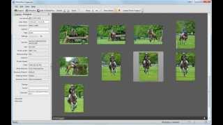 Serif PhotoPlus X6 Tutorial  Introducing PhotoPlus Organizer [upl. by Neiv]