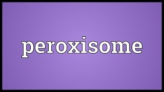 Peroxisome Meaning [upl. by Shannen]