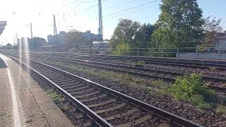 Züge im Bahnhof MagdeburgNeustadt am 20092024 GÜTERZÜGE Regional Verkehr [upl. by Kcirej766]