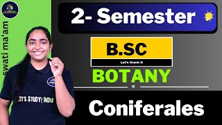 Coniferales  BSc Botany 2nd Semester  Swati Maam [upl. by Alleram]