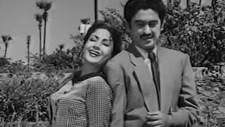 Shree 420  Superhit Comedy Film  Raj Kapoor  Nargis Dutt  Lalita Pawar [upl. by Notsek]