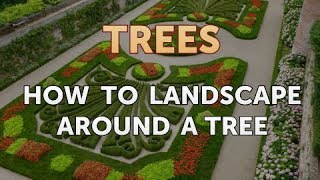 How to Landscape Around a Tree [upl. by Yhtrod]