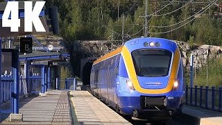 Trains Norrtåg X62 Husum Sweden 4K [upl. by Nodnol]