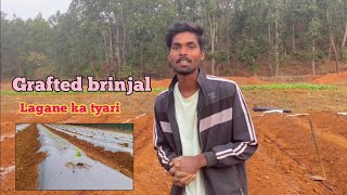 Grafted brinjal ki kheti ke liye khet ki tyari [upl. by Olivero]