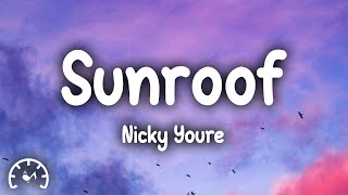 Nicky Youre  Sunroof Lyrics [upl. by Pennington]