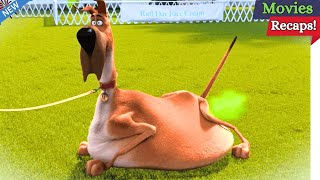 Marmaduke Movie Recaps English  Marmaduke 2022 movie explained in English [upl. by Blackburn779]