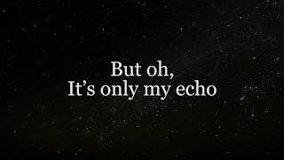 Starset  Echo Lyrics video [upl. by Alleuqram207]