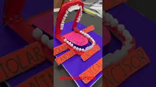 Buccal cavity model cbse [upl. by Leftwich554]