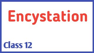 Encystation [upl. by Oznerol]