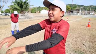 Heron Baseball Academy  Pequeñas Ligas de Panamá [upl. by Calmas115]