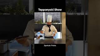 Best Teppanyaki Performance Spatula Tricks [upl. by Ettezil]