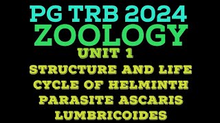 ASCARIS LUMBRICOIDES  ROUND WORM  HELMINTH PARASITE  ASCARIASIS  PG TRB 2024 ZOOLOGY [upl. by Posner752]