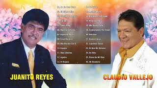 Juanito Reyes y Claudio Vallejo Mano a Mano Grandes Pasillos  Mix Pasillos Del Recuerdo [upl. by Sanson312]