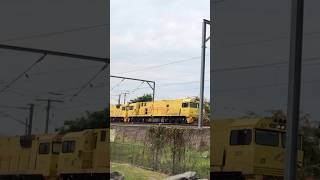 Double 2800s at Coorparoo hornshow railway shorts [upl. by Eselehs]