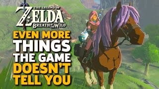 Even More Things I Wish I Knew Before I Started Zelda Breath of the Wild [upl. by Oliy]