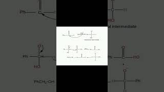 Reactionmechanism and synthetic applications of Cannizzaro and chichibabin reaction [upl. by Einaeg945]