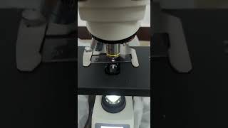 Exploring Precision Trinocular Microscope ECO128 Review amp Specifications viral shorts [upl. by Sehcaep]