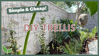 DIY Garden Trellis  Inexpensive amp Easy Privacy Trellis [upl. by Akilat284]