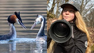 LAKE DAY  CANON R7  WILDLIFE PHOTOGRAPHY [upl. by Wight]