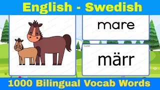 📌Learn English Swedish Vocabulary with Pictures for Beginners  Lär dig engelska svenska ordförråd [upl. by Ney]