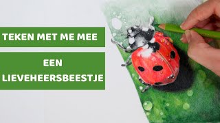 Tekenen voor beginners EEN LIEVEHEERSBEESTJE vier de zomer [upl. by Aremmat]