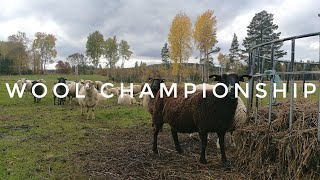 KNITTING VLOG Swedish wool Championship in Dalarna [upl. by Piane]