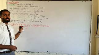 Reactions of alkynes  ch12  10th class chemistry [upl. by Xilef]