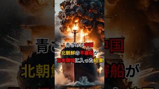 【海外の反応】青ざめる中国‥北朝鮮の不審船が日本領域に入った結果 [upl. by Alletsirhc]