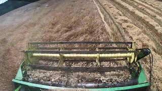 Combining Triticale Livestream [upl. by Sheree]