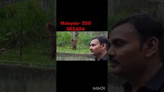 Malaysia ZOO NEGARA animals [upl. by Ecnerol]