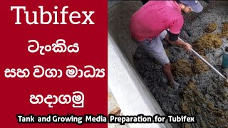 Tank and Growing Media Preparation for Tubifex Worms Sewage Sludge Worms tubifex fishfeed 🐛🐟 [upl. by Ailemaj]