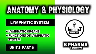 Lymphatic System  Lymph Nodes  Lymphatic Organs  Human Anatomy And Physiology  HAP [upl. by Knorring]