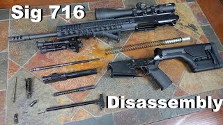 Sig Sauer 716 Disassembly [upl. by Konstanze]