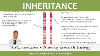 Inheritance Pt1  Monohybrid Cross  Post 16 Biology A Level PreU IB AP Bio [upl. by Cirek]