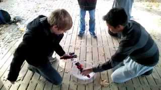 Toronto Beyblade Tournament  DIR EN BEY  High Park [upl. by Skoorb]