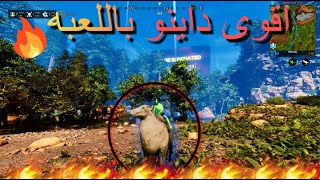 Ark Fittest Ascended  🔥🤣قيم استهلكنا حظنا لهل سنه [upl. by Lihcox]