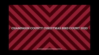 Champaign County Christmas Bird Count 2020 [upl. by Yrahk]