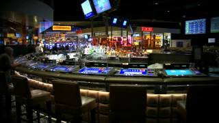 Race amp Sports Book Bar Opening  Caesars Palace Las Vegas [upl. by Ahsea479]