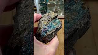 Permineralized Petrified Wood w Rainbow Marcasite from Turkey crystals crystalshop [upl. by Aicad]