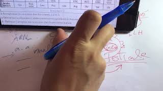 Exam génétiqueexpliquer la maladieméioseCourbe variation qté ADNformule chromosomique [upl. by Yamauchi416]