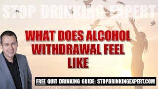 What does alcohol withdrawal feel like [upl. by Ydnil]